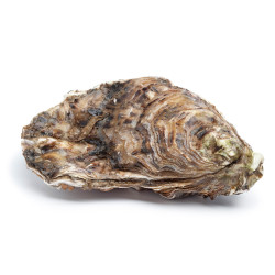 OLICREM CON PIMIENTA 170g